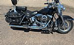 2006 Harley-Davidson Softail