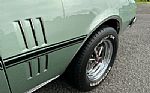 1967 Firebird Thumbnail 19