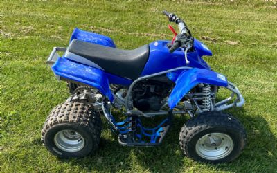 Photo of a 2002 Yamaha YFS200 for sale