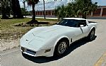 1981 Corvette Thumbnail 2