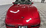 1995 Corvette Thumbnail 5