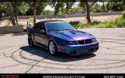 Photo of a 2004 Ford Mustang SVT Cobra Cobra Convertible for sale