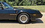 1979 Firebird Thumbnail 16