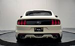 2015 Mustang Thumbnail 11