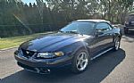 2001 Ford Mustang