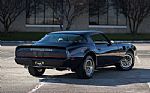 1979 Firebird Thumbnail 9