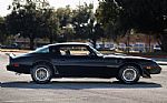 1979 Firebird Thumbnail 14