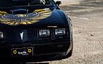 1979 Firebird Thumbnail 22