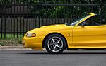 1998 Mustang Thumbnail 11