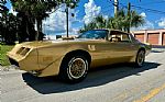 1979 Pontiac Trans Am