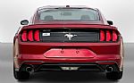 2019 Mustang Thumbnail 4