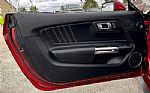 2019 Mustang Thumbnail 25