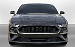 2019 Mustang Thumbnail 3