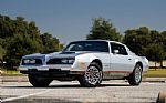 1977 Firebird Thumbnail 2