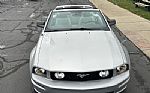 2006 Mustang GT Deluxe Thumbnail 14