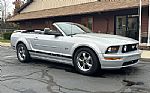 2006 Mustang GT Deluxe Thumbnail 15