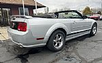 2006 Mustang GT Deluxe Thumbnail 17