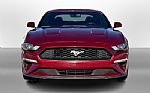 2019 Mustang Thumbnail 3