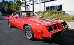 1979 Trans Am Thumbnail 7