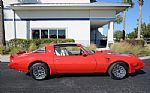 1979 Trans Am Thumbnail 14