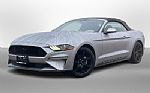 2020 Mustang Thumbnail 13