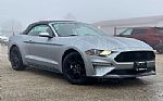 2020 Mustang Thumbnail 38