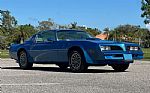 1978 Trans Am Thumbnail 6