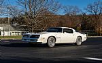 1977 Pontiac Trans Am