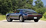 1979 Trans Am Thumbnail 7