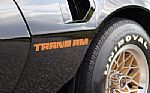 1979 Trans Am Thumbnail 10