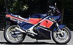 1986 Suzuki RG 250