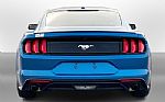 2019 Mustang Thumbnail 4