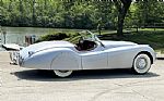 1950 XK120 Thumbnail 26