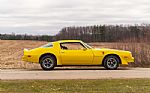 1977 Trans Am Thumbnail 2