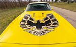 1977 Trans Am Thumbnail 10