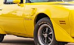 1977 Trans Am Thumbnail 8