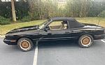 1985 Capri Thumbnail 2