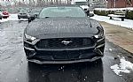 2020 Mustang EcoBoost Thumbnail 2