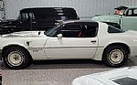 1981 Trans Am Turbo Thumbnail 6