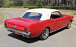 1966 Mustang Thumbnail 2