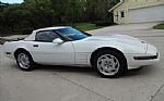 1992 Corvette Thumbnail 10