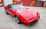 1983 Trans Am Thumbnail 2