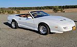 1991 Pontiac Trans Am