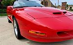 1994 Firehawk - Trans Am Thumbnail 13