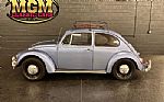 1967 Beetle Thumbnail 2