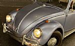 1967 Beetle Thumbnail 6