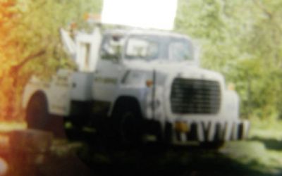 Photo of a 1973 Ford LN750 Truck for sale