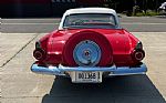 1956 Thunderbird Thumbnail 5