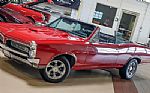 1967 GTO Thumbnail 5