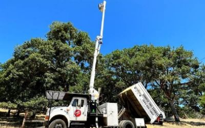 Photo of a 1997 International 4700 Bucket Chipper Truck for sale